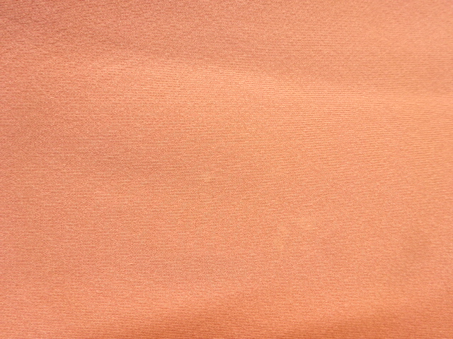  未使用品　手描き友禅　花鳥模様訪問着